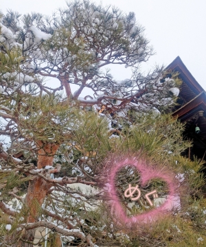 米子/大山/境港/安来/松江/名和のデリバリーヘルスZEBRA（ゼブラ）の写メ日記　画像