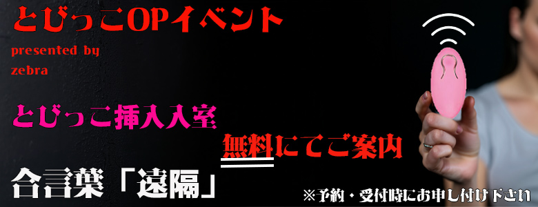 米子/大山/境港/安来/松江/名和デリバリーヘルスZEBRA（ゼブラ）のスライド画像